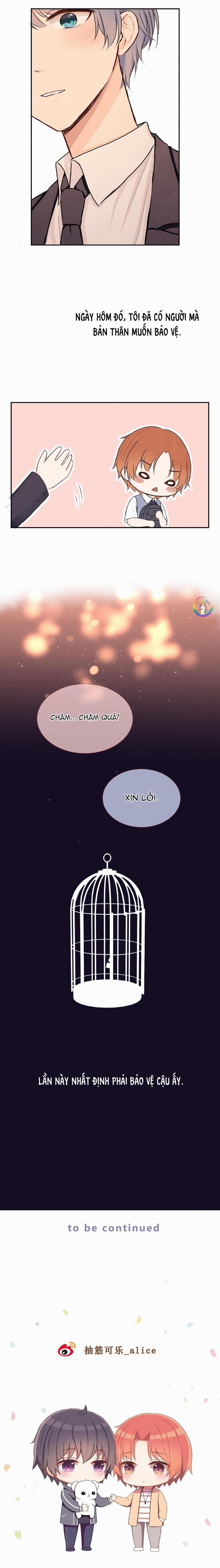 Liquor Gummies 18 trang 10