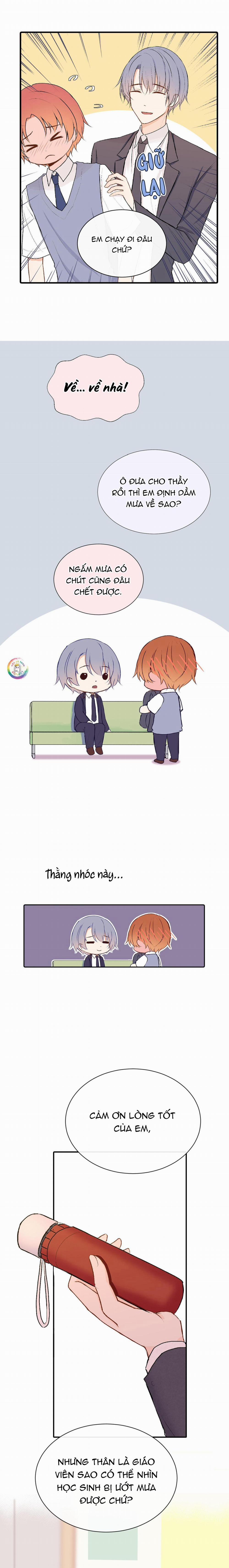 Liquor Gummies 18 trang 6