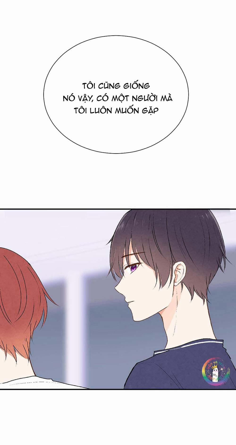 Liquor Gummies 21 trang 10