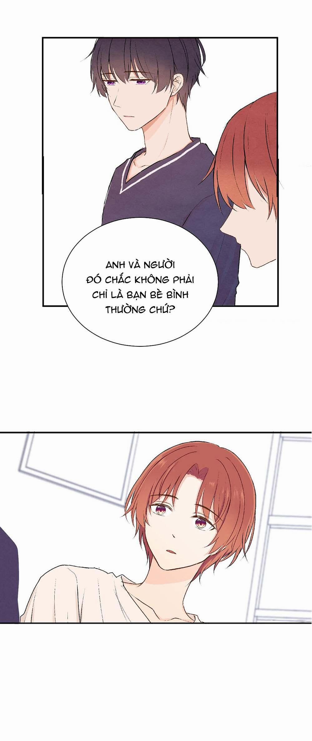 Liquor Gummies 21 trang 13