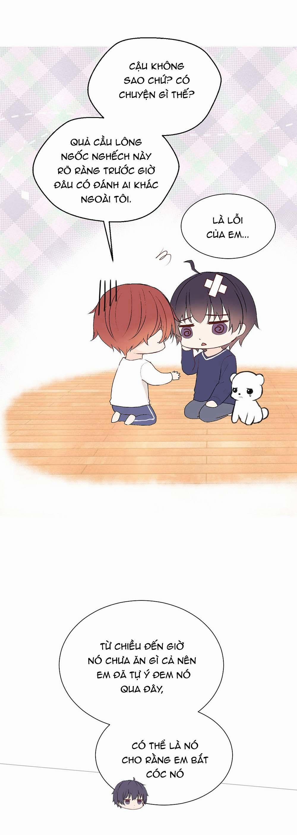 Liquor Gummies 21 trang 7