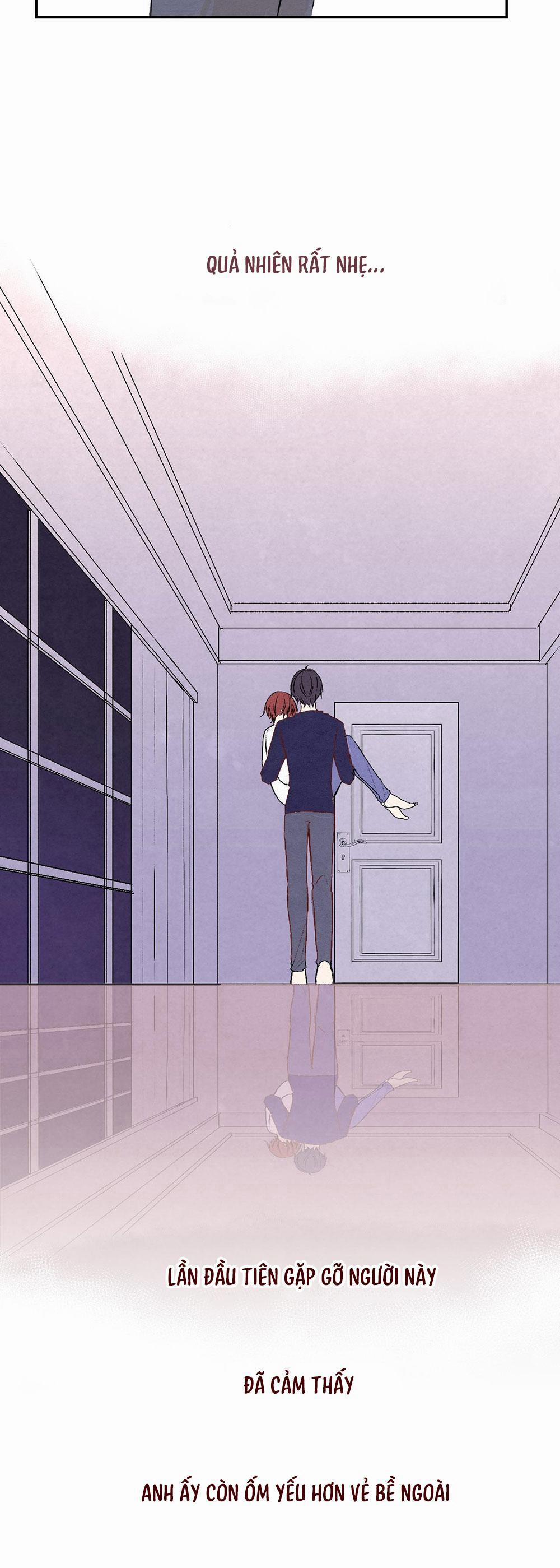 Liquor Gummies 22 trang 17