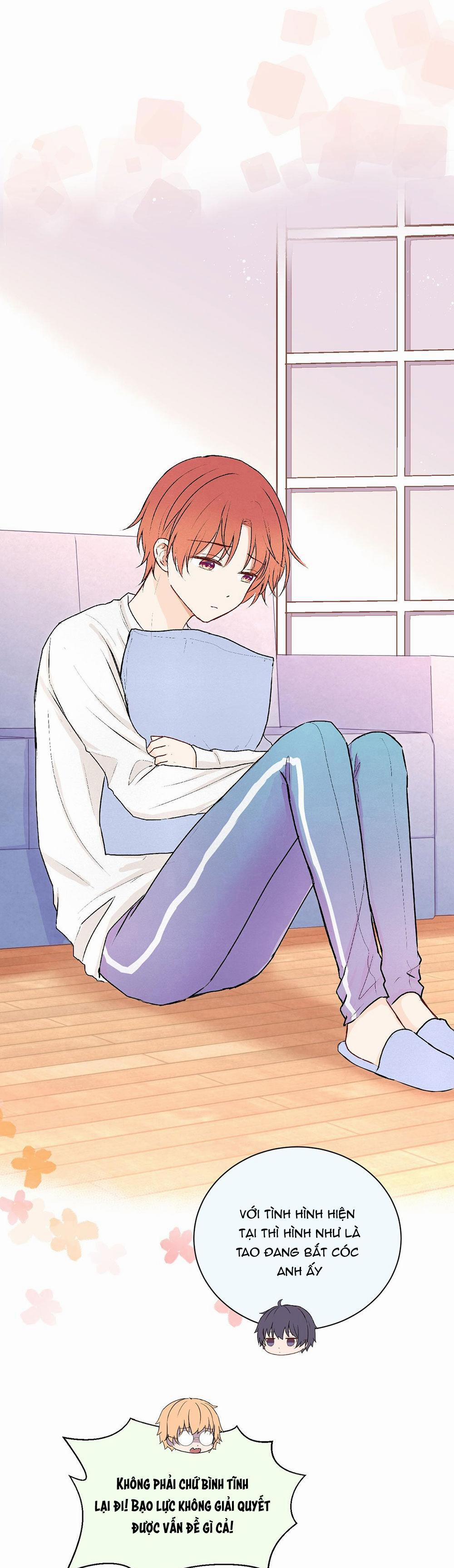 Liquor Gummies 22 trang 6