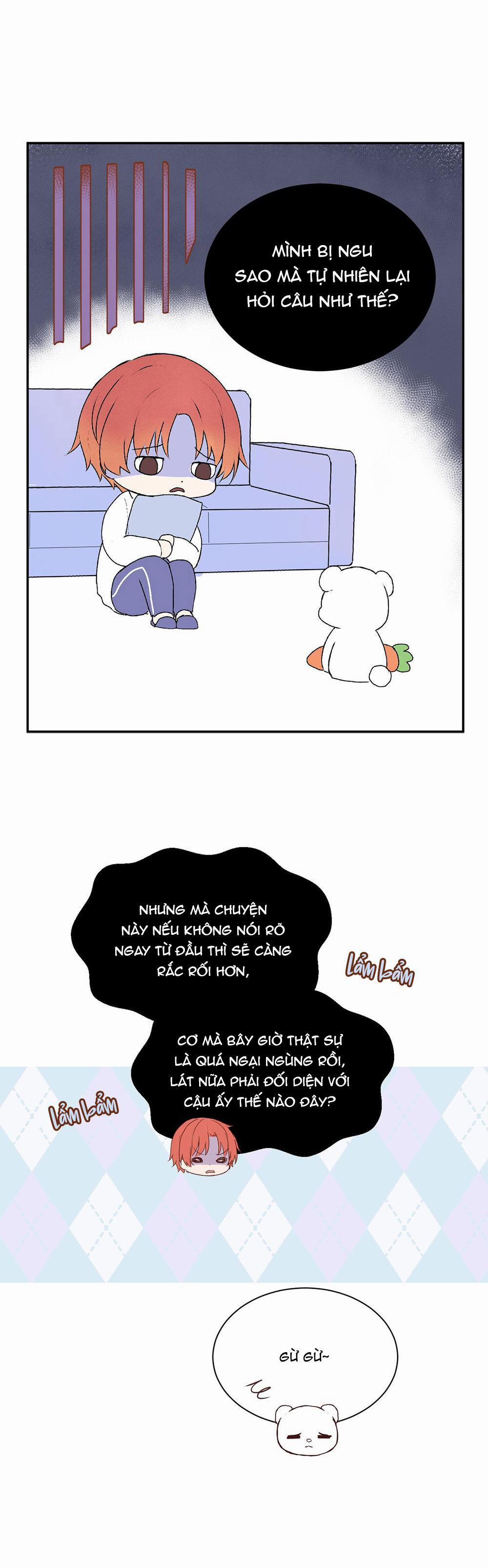 Liquor Gummies 22 trang 8