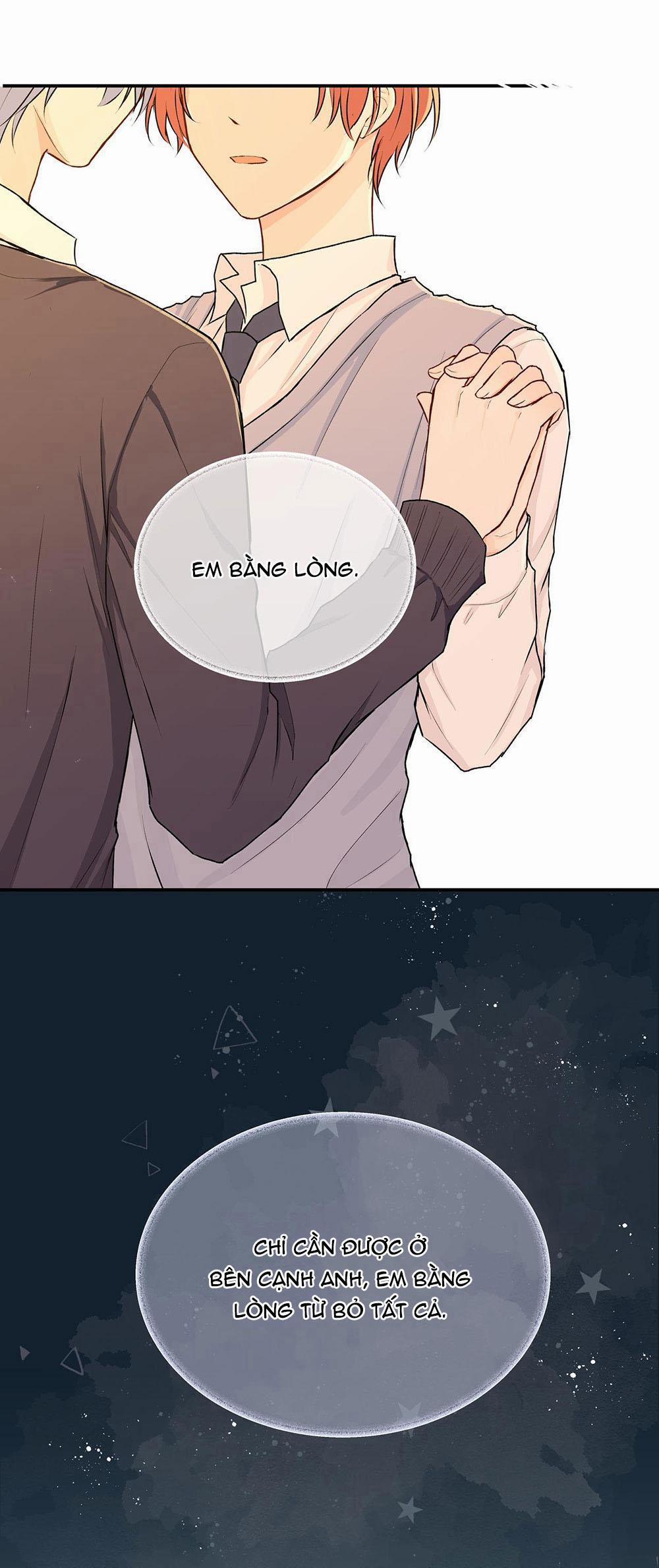 Liquor Gummies 24 trang 10