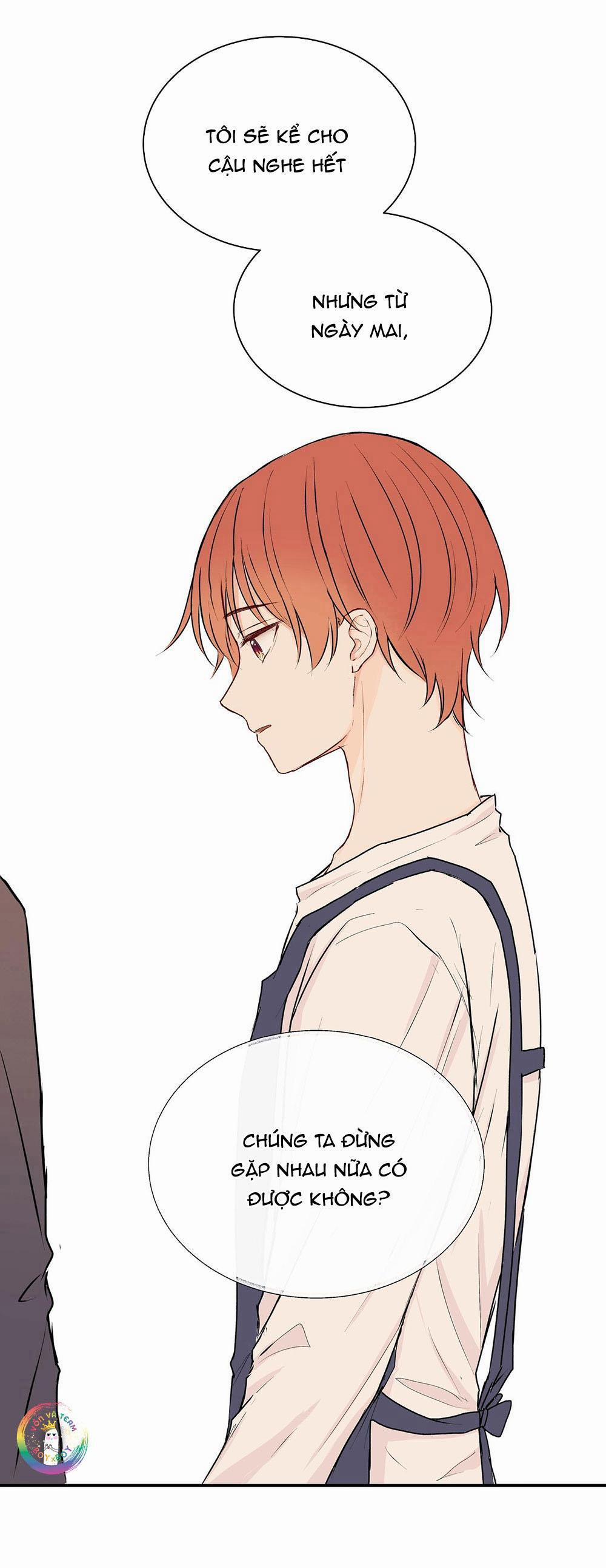 Liquor Gummies 24 trang 16