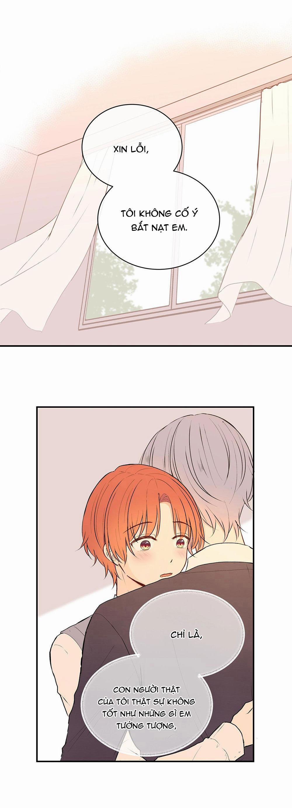 Liquor Gummies 24 trang 8