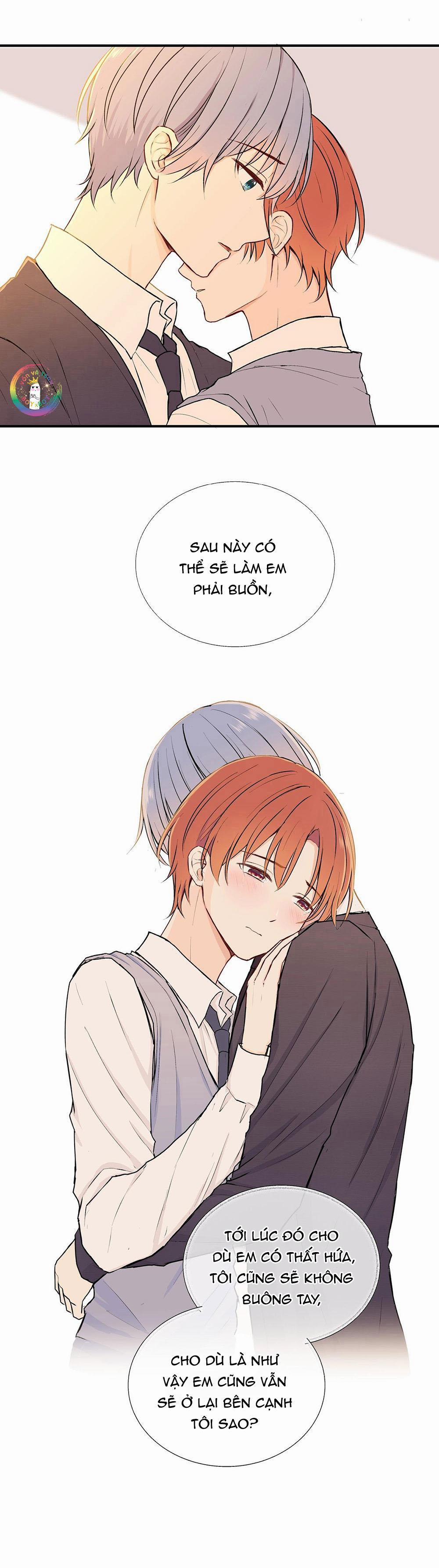 Liquor Gummies 24 trang 9