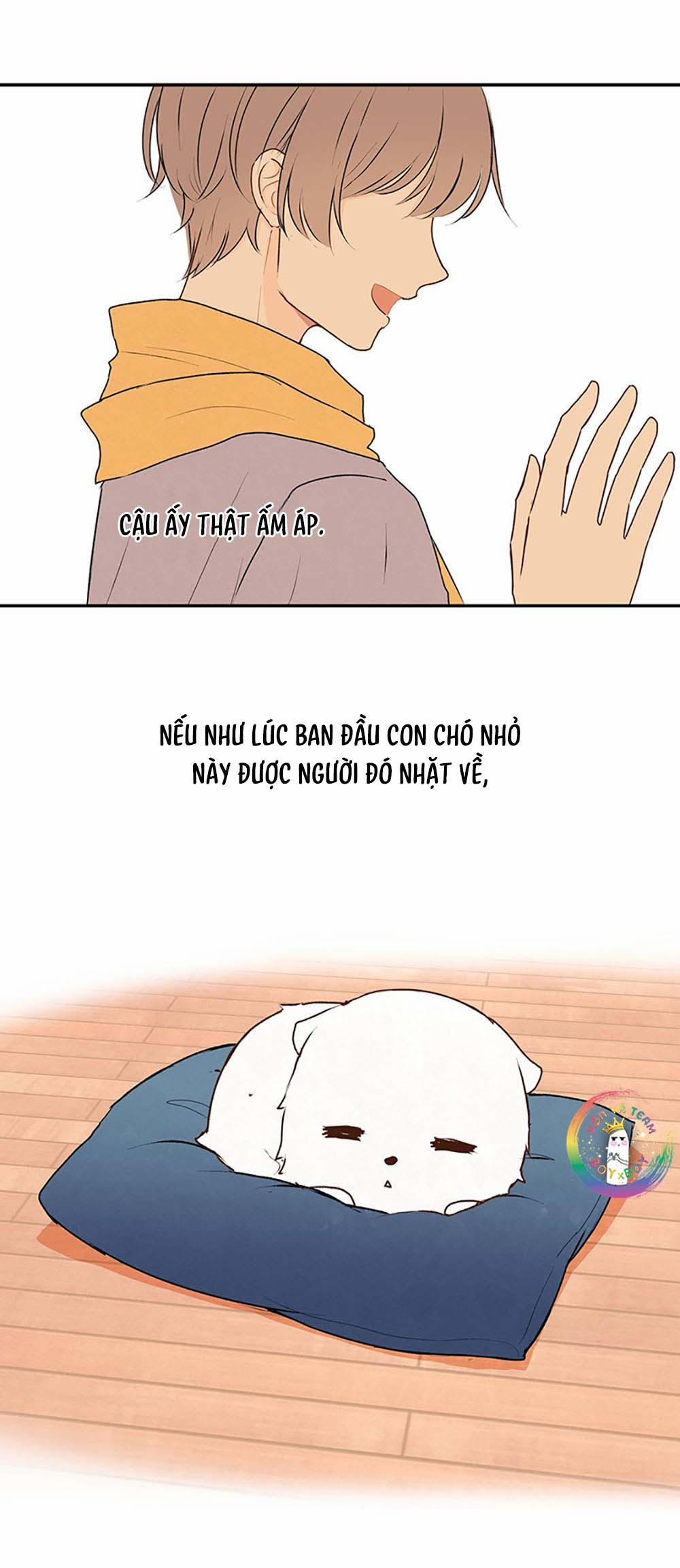 Liquor Gummies 25 trang 18