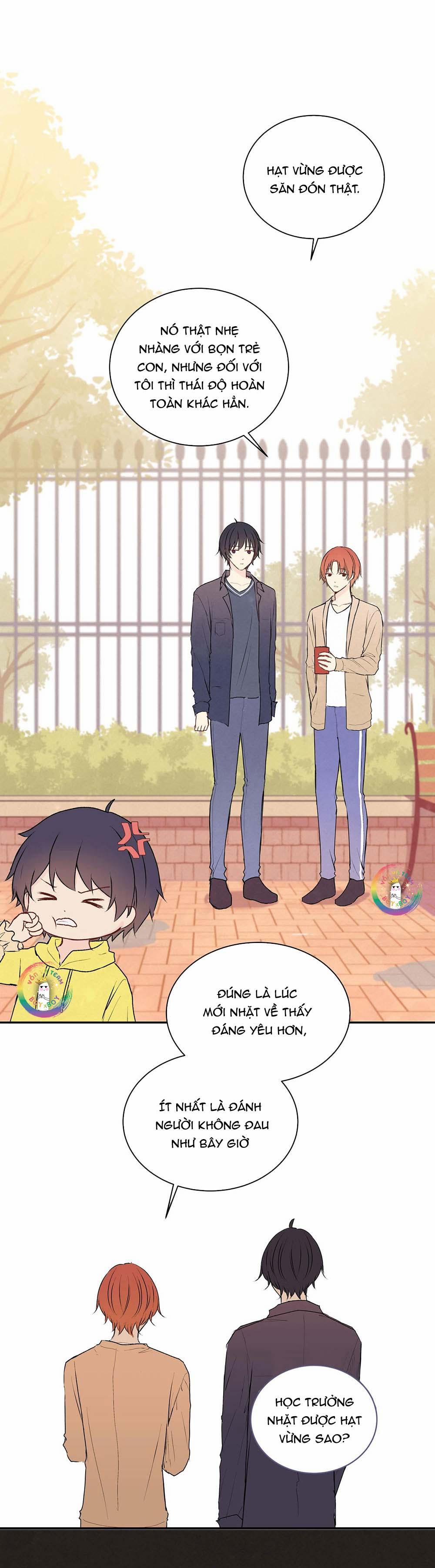 Liquor Gummies 25 trang 2