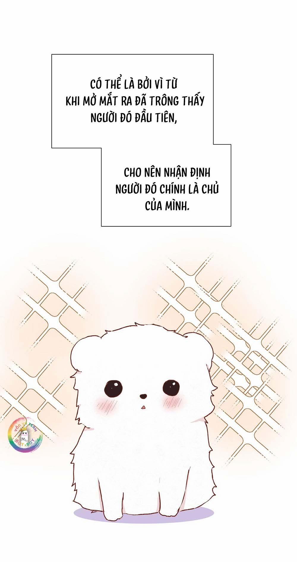 Liquor Gummies 25 trang 5