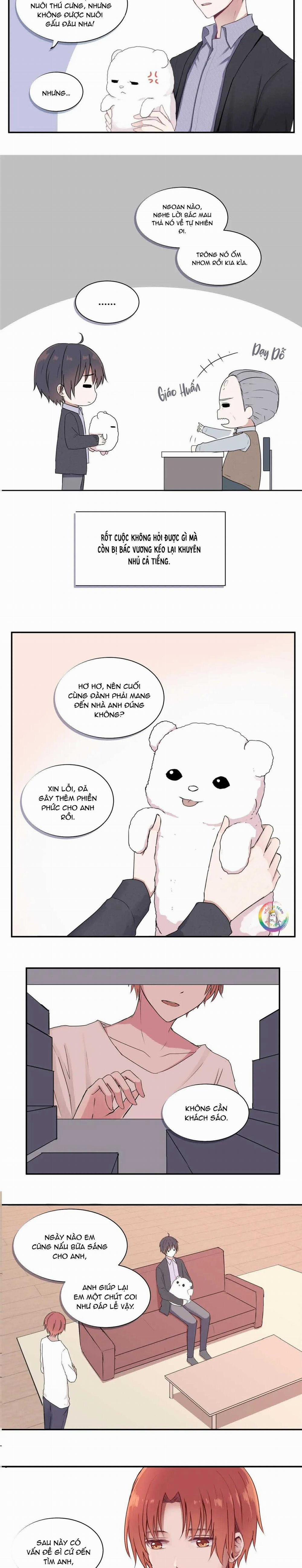 Liquor Gummies 3 trang 4