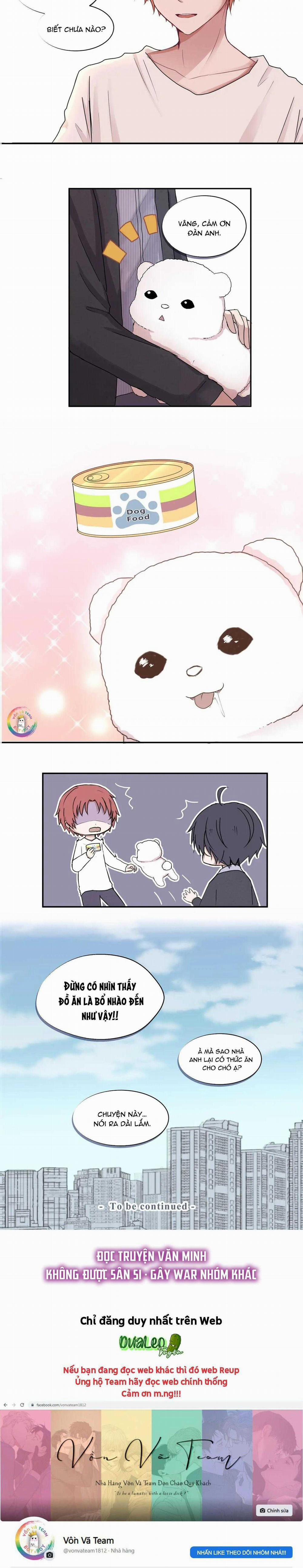 Liquor Gummies 3 trang 5