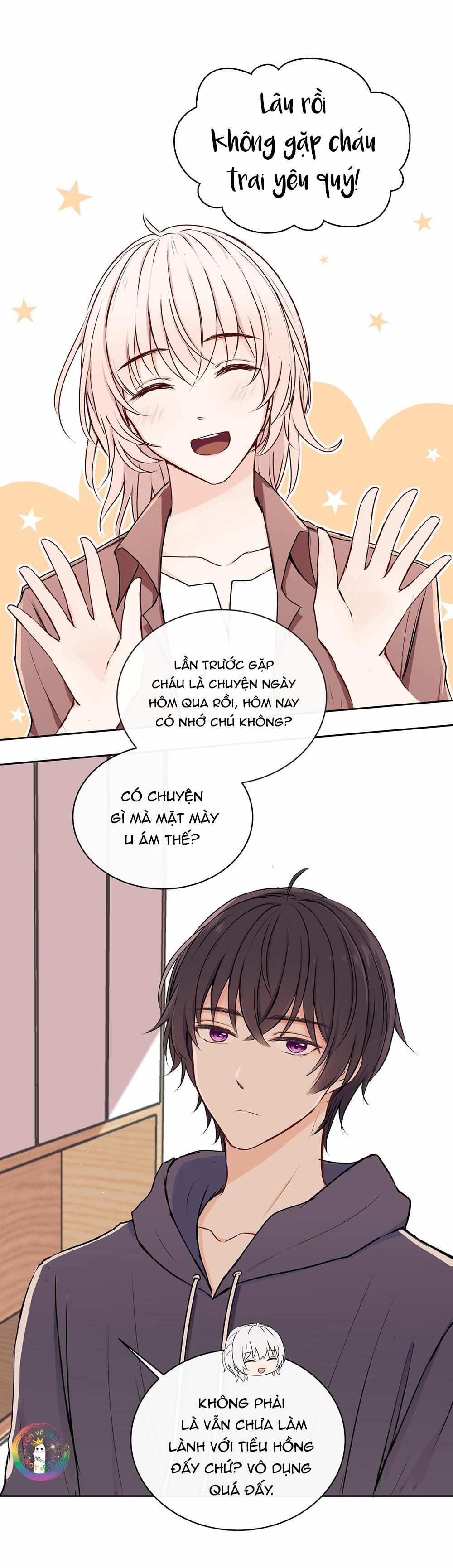 Liquor Gummies 31 trang 1