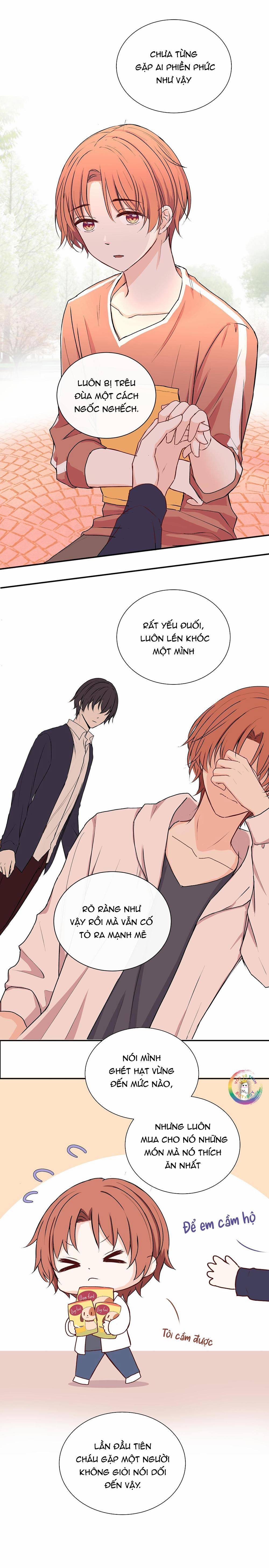 Liquor Gummies 31 trang 8