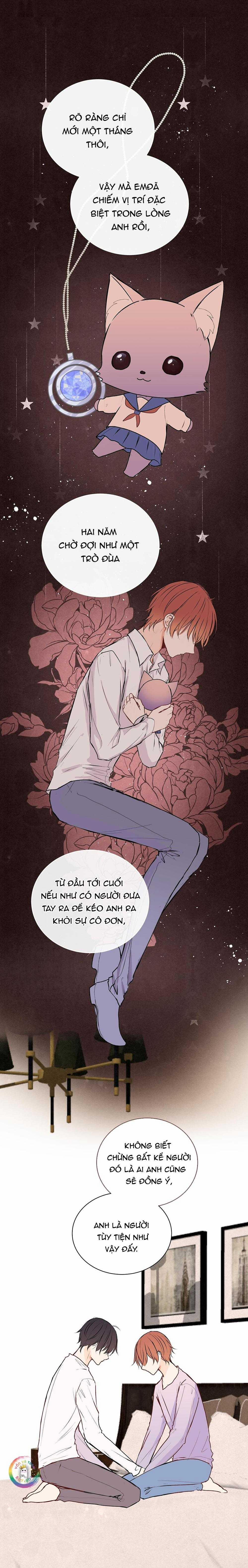 Liquor Gummies 33 trang 13