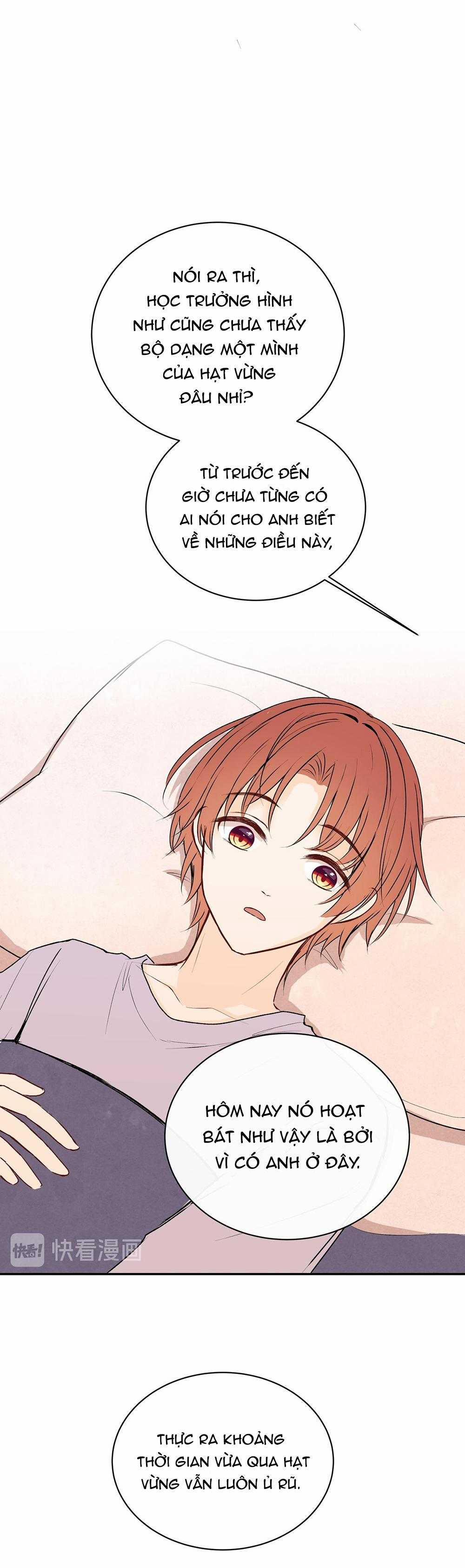 Liquor Gummies 34 trang 10