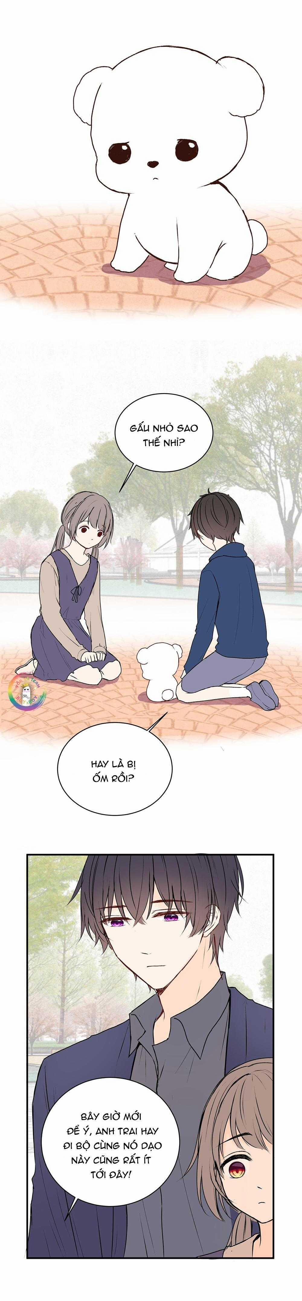 Liquor Gummies 34 trang 11