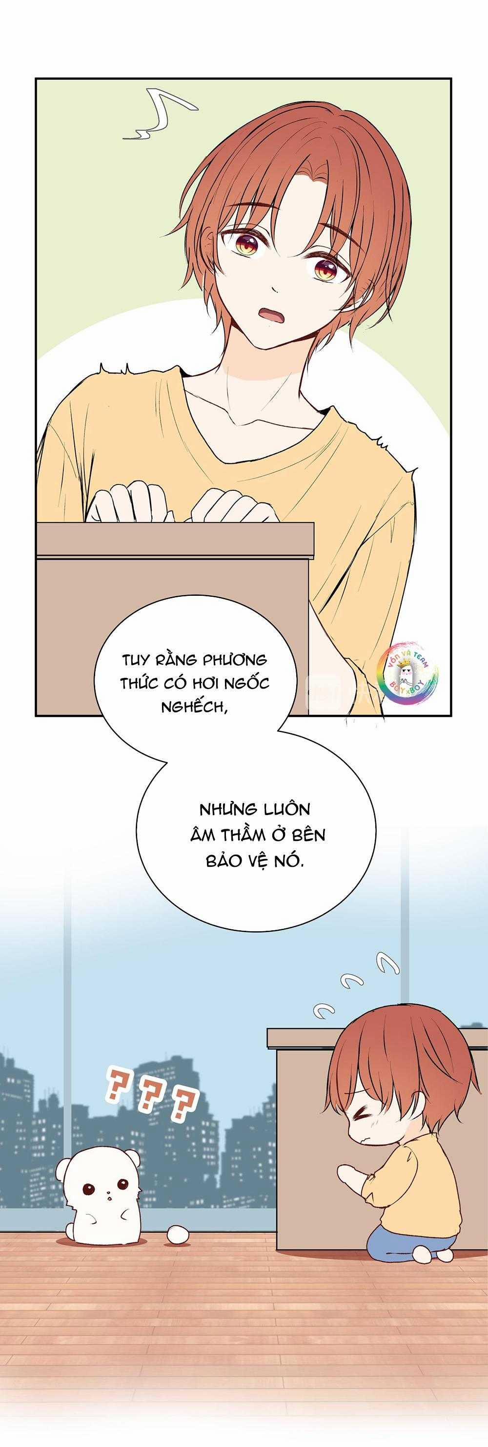 Liquor Gummies 34 trang 13