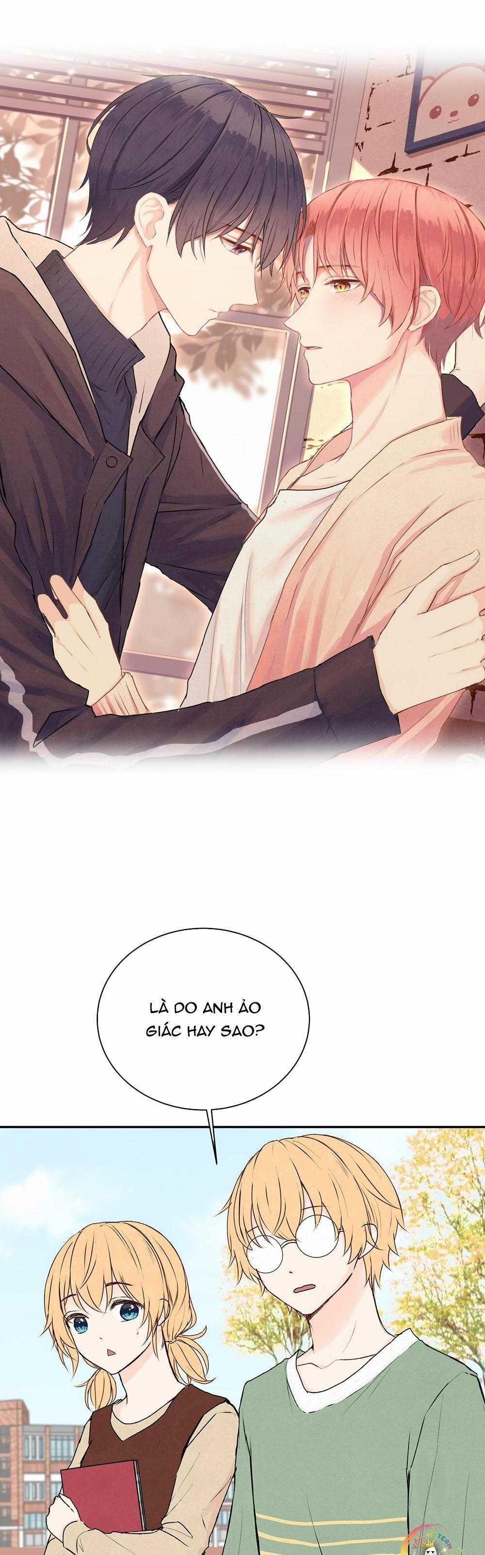 Liquor Gummies 35 trang 1