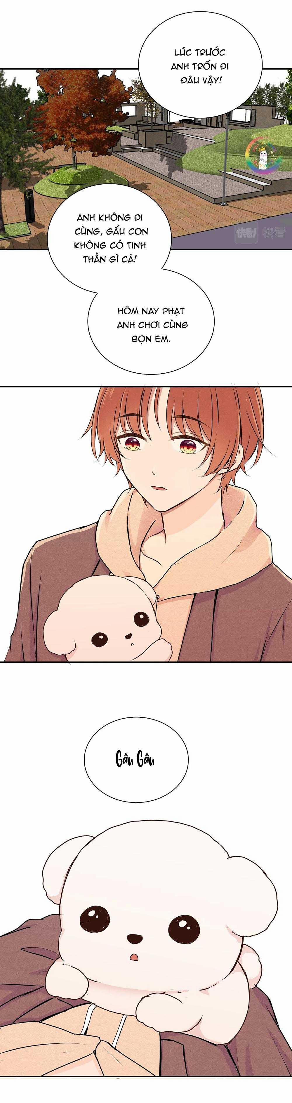 Liquor Gummies 35 trang 11