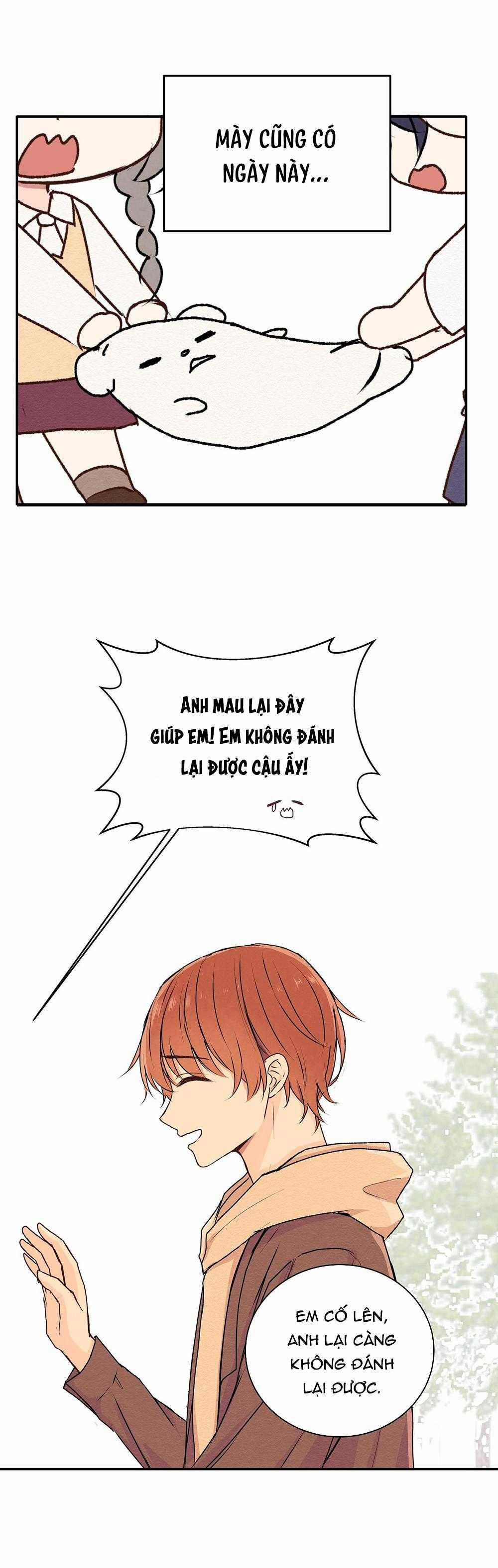 Liquor Gummies 35 trang 14