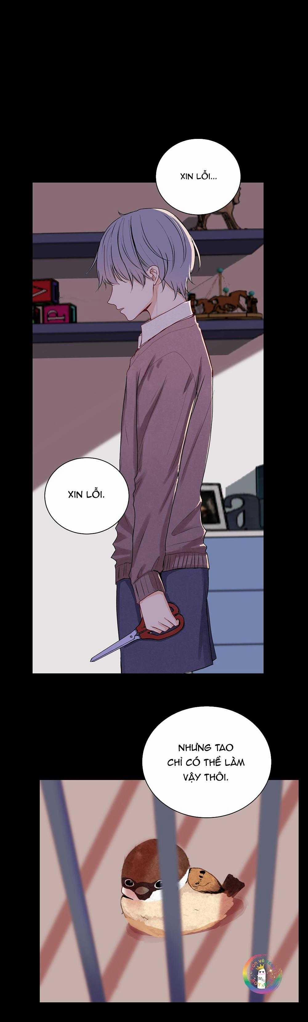 Liquor Gummies 38 trang 1