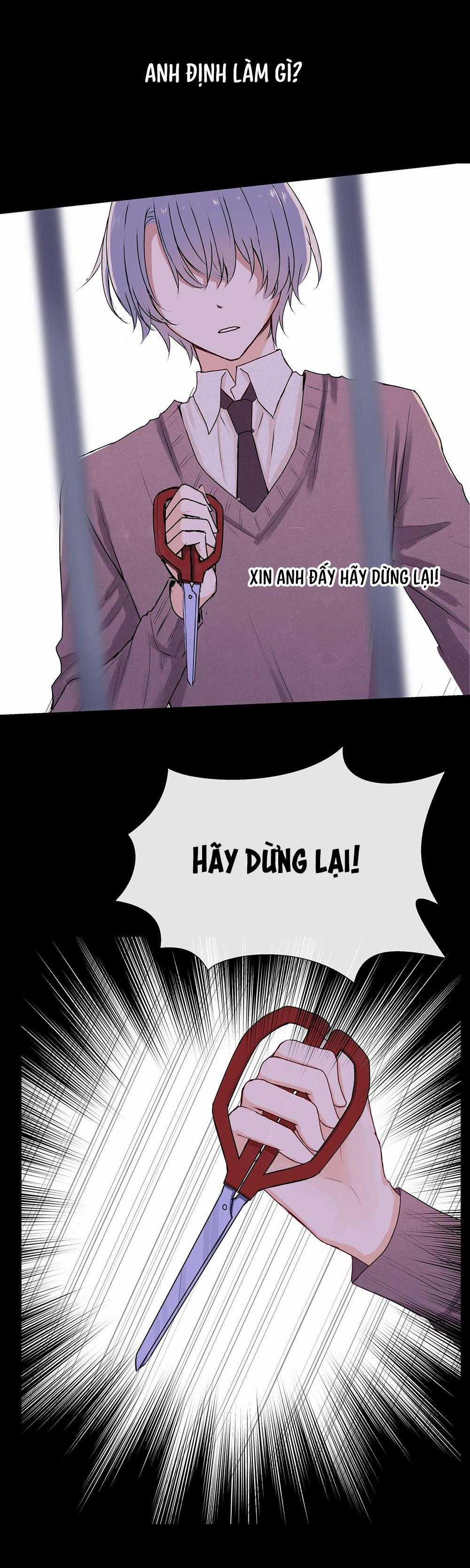 Liquor Gummies 38 trang 2