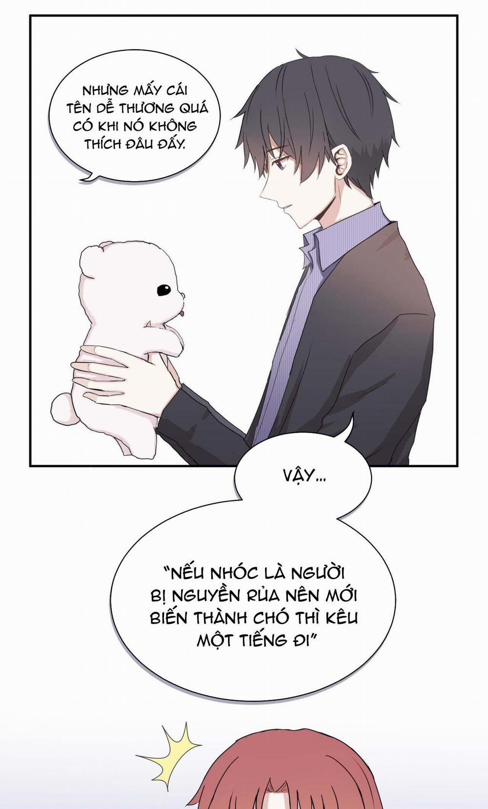 Liquor Gummies 4 trang 3