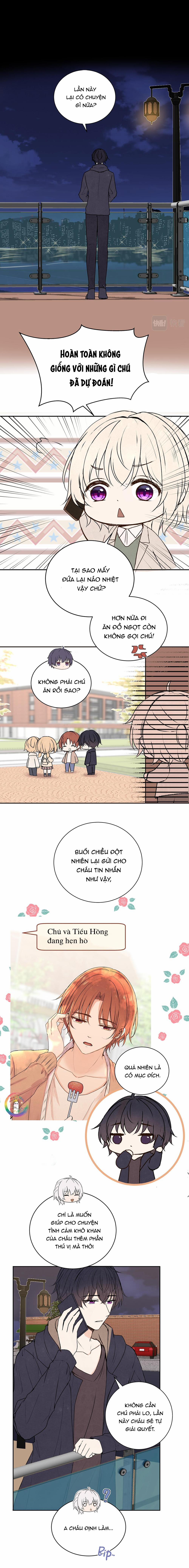 Liquor Gummies 41 trang 3