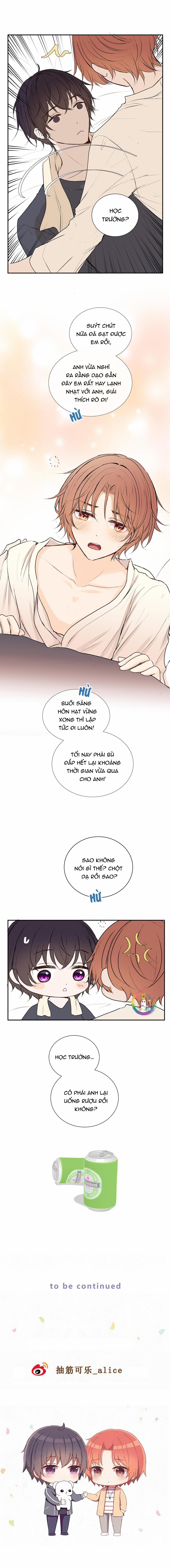 Liquor Gummies 42 trang 6