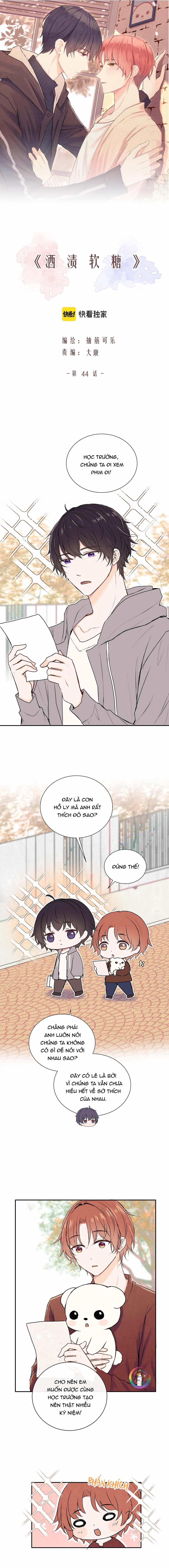 Liquor Gummies 44 trang 1