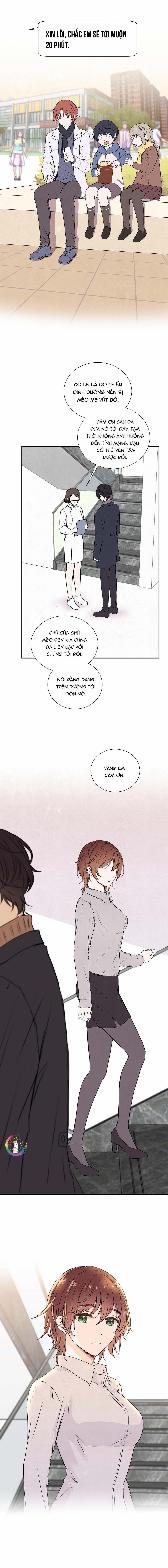 Liquor Gummies 44 trang 6