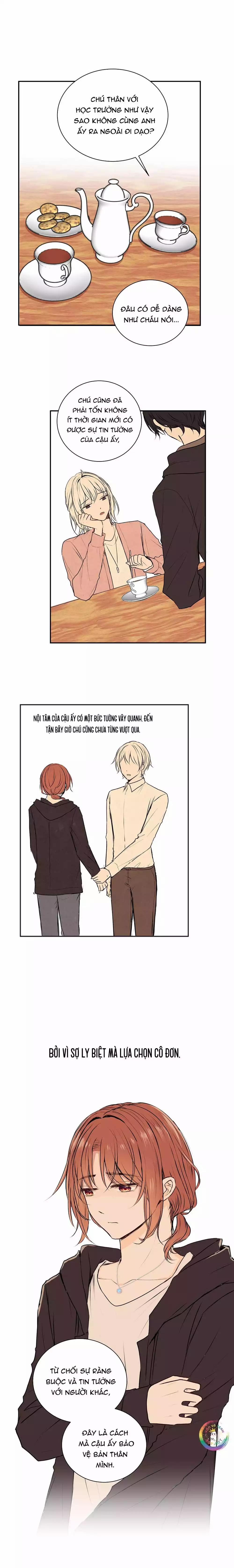 Liquor Gummies 45 trang 4