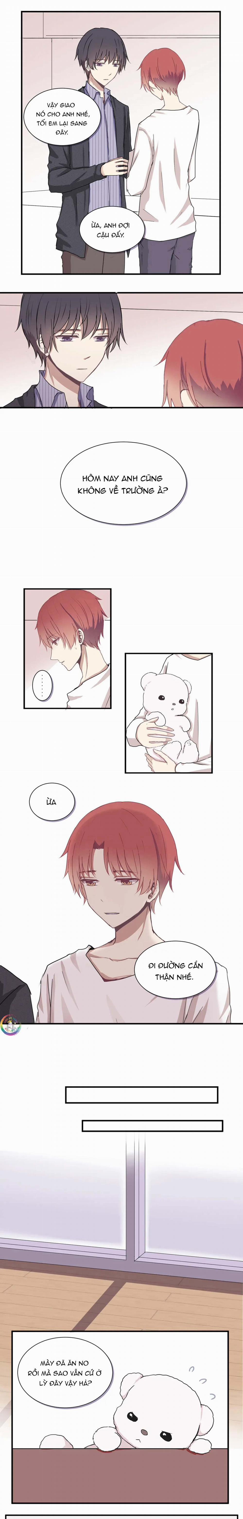 Liquor Gummies 5 trang 1