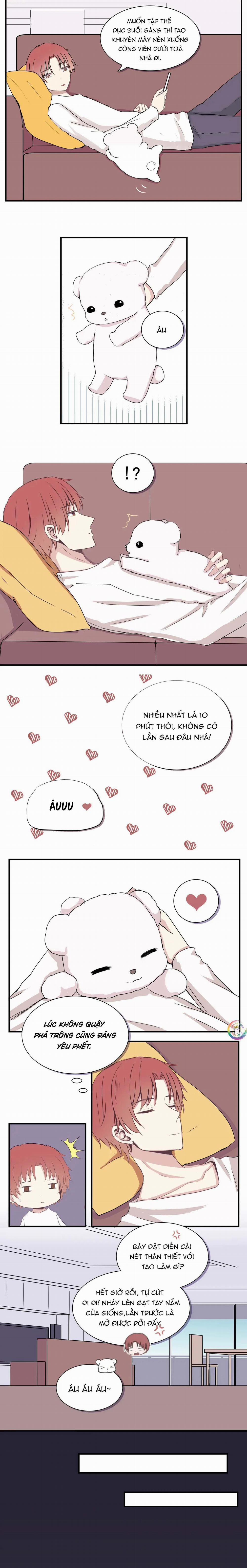 Liquor Gummies 5 trang 2