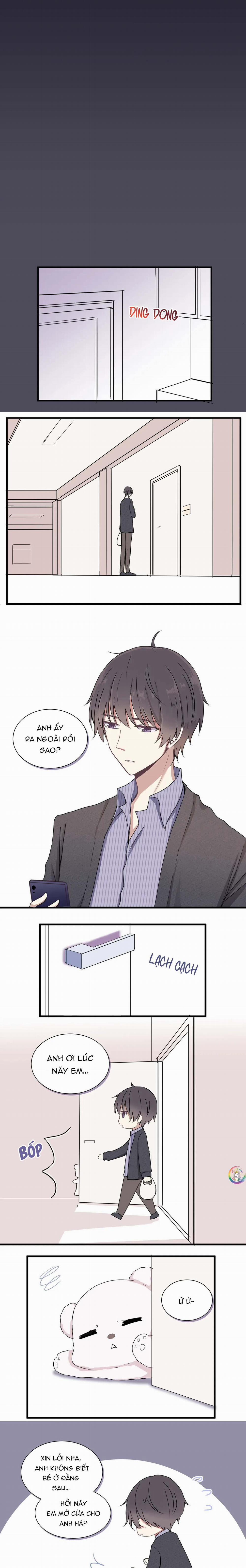 Liquor Gummies 5 trang 3