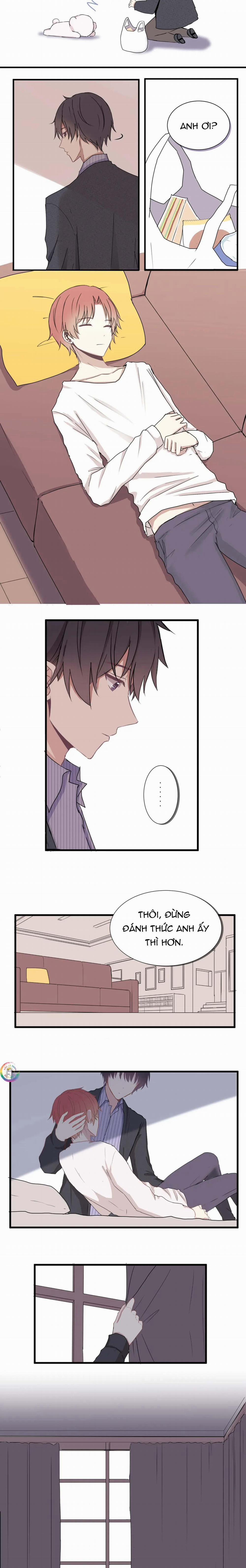 Liquor Gummies 5 trang 4