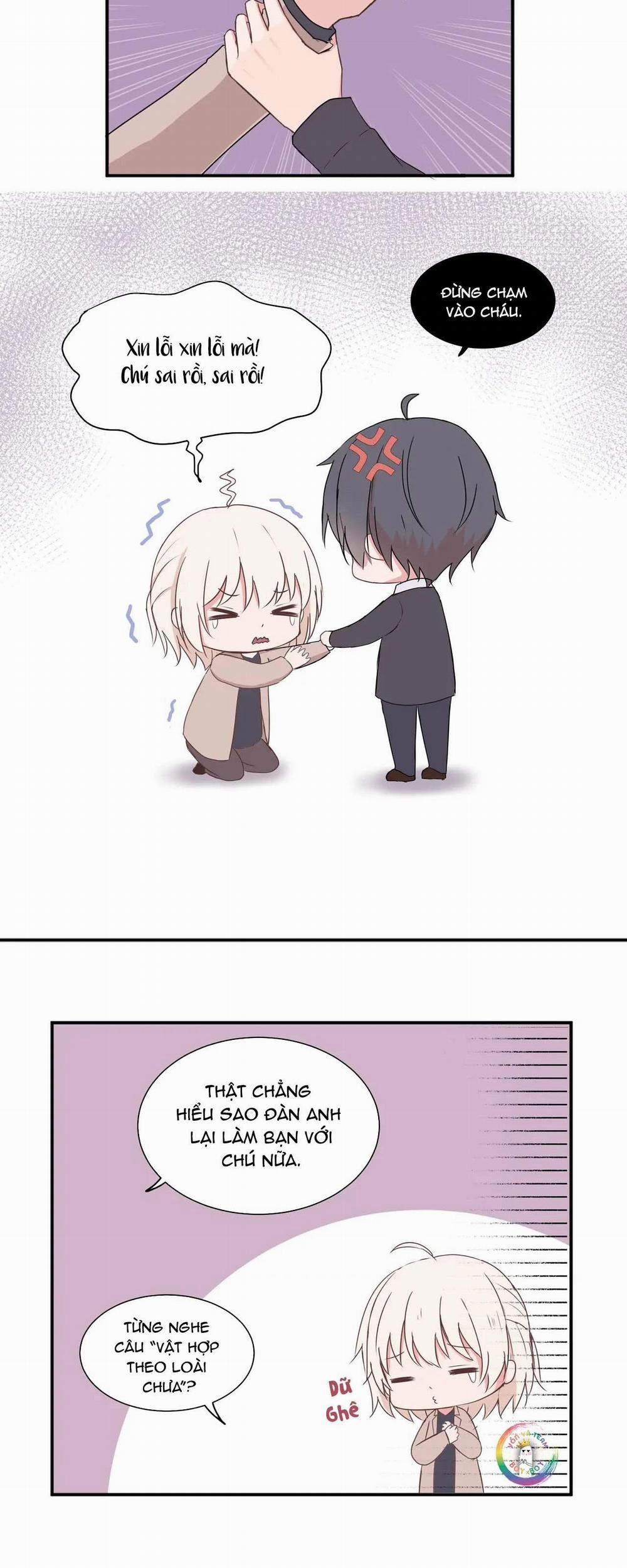 Liquor Gummies 7 trang 8