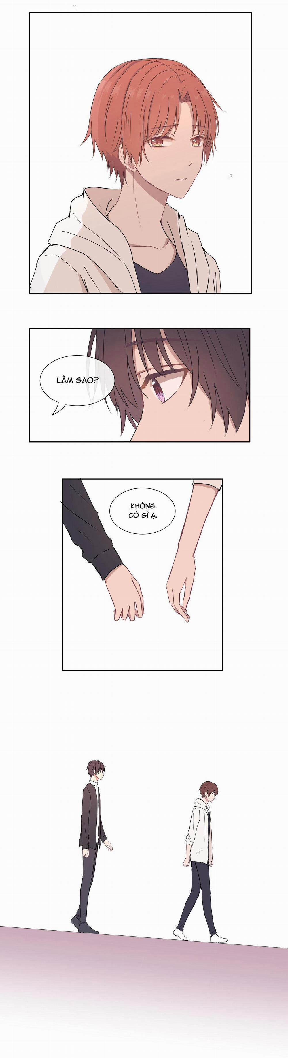 Liquor Gummies 8 trang 10