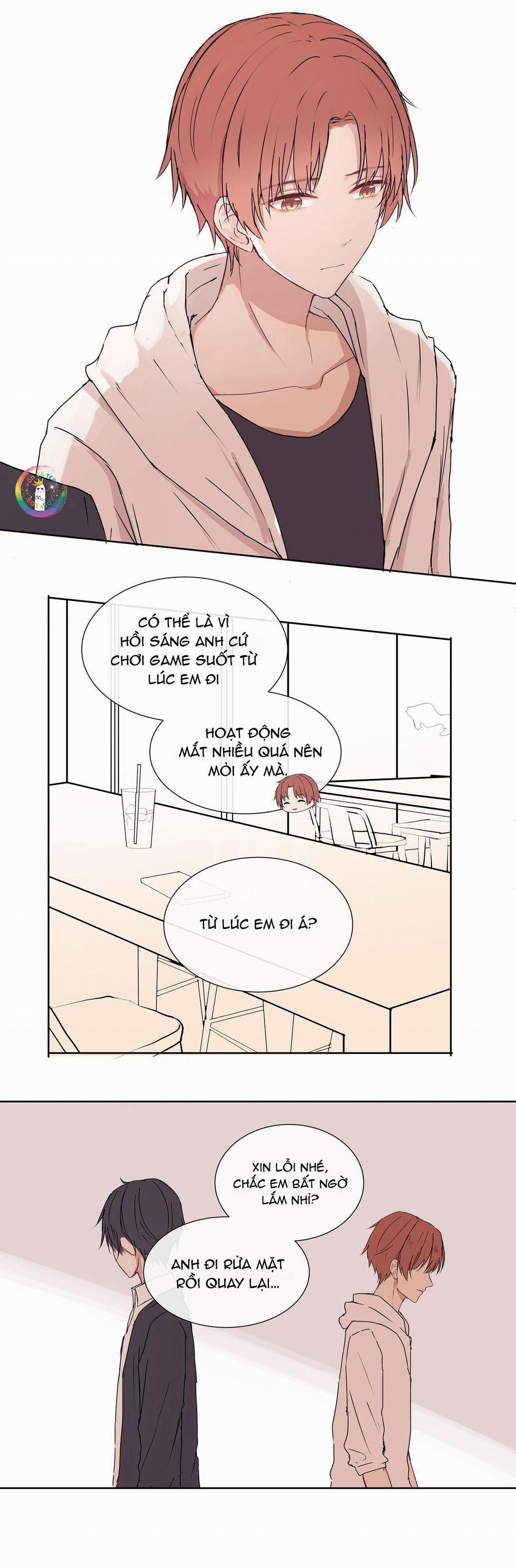 Liquor Gummies 8 trang 8