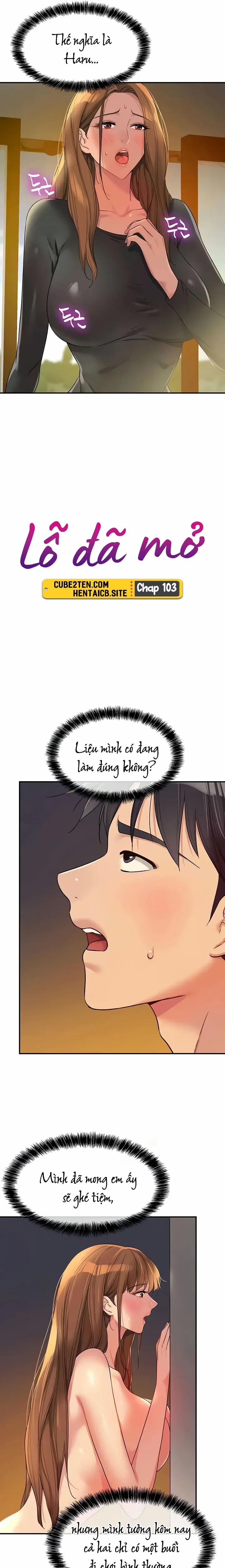 Lỗ đã mở 103 trang 3