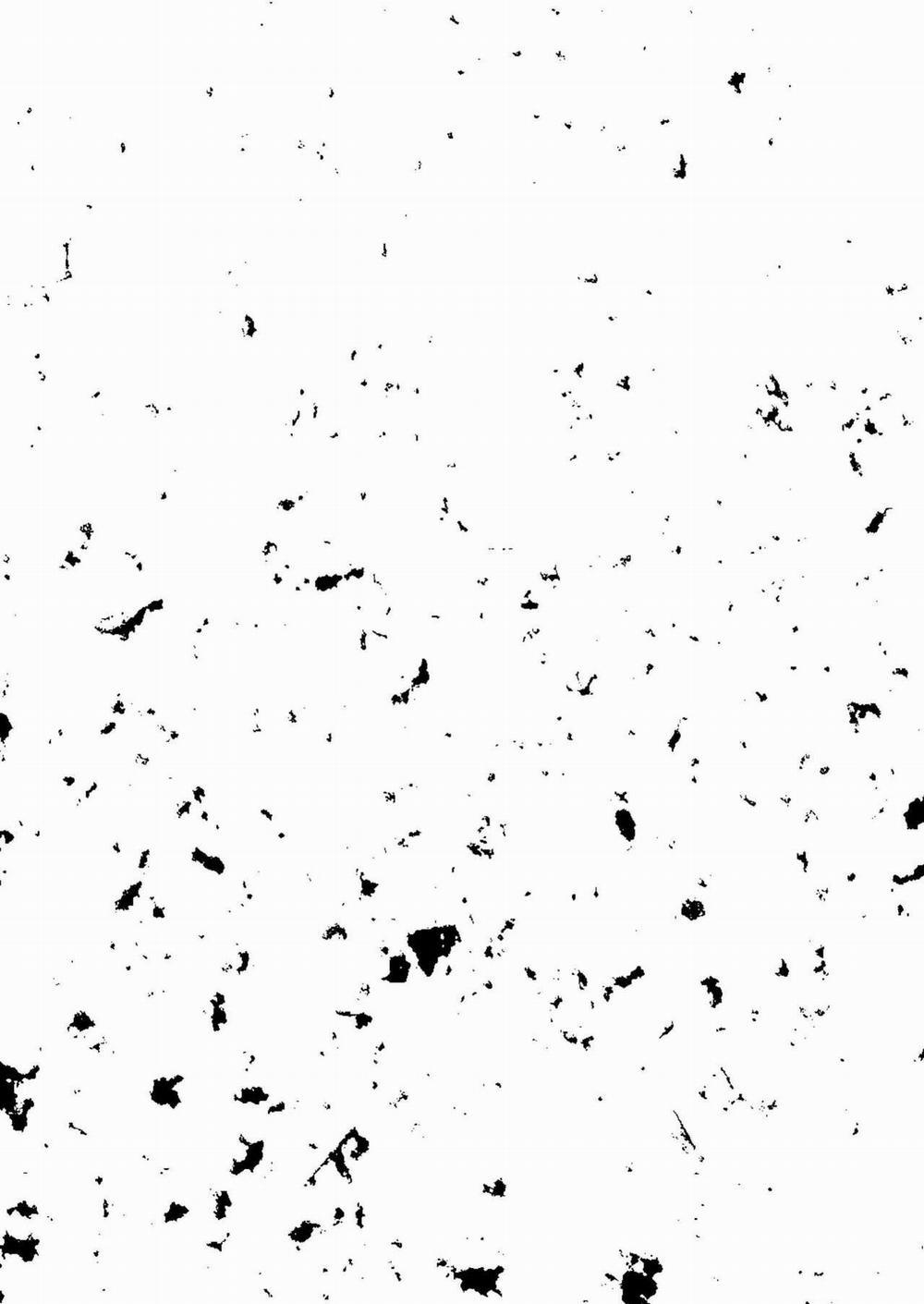 Lỗ tầy quầy 5 trang 92