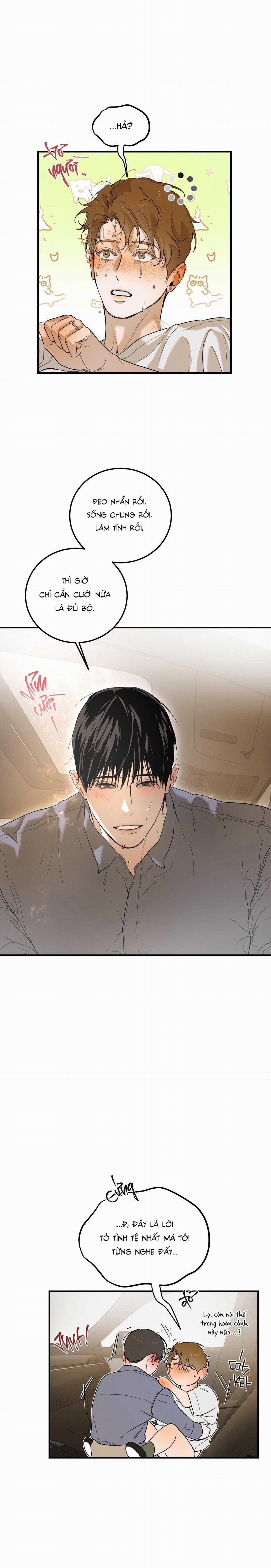 Lời Tỏ Tình Chân Thành Nhất 11 trang 27