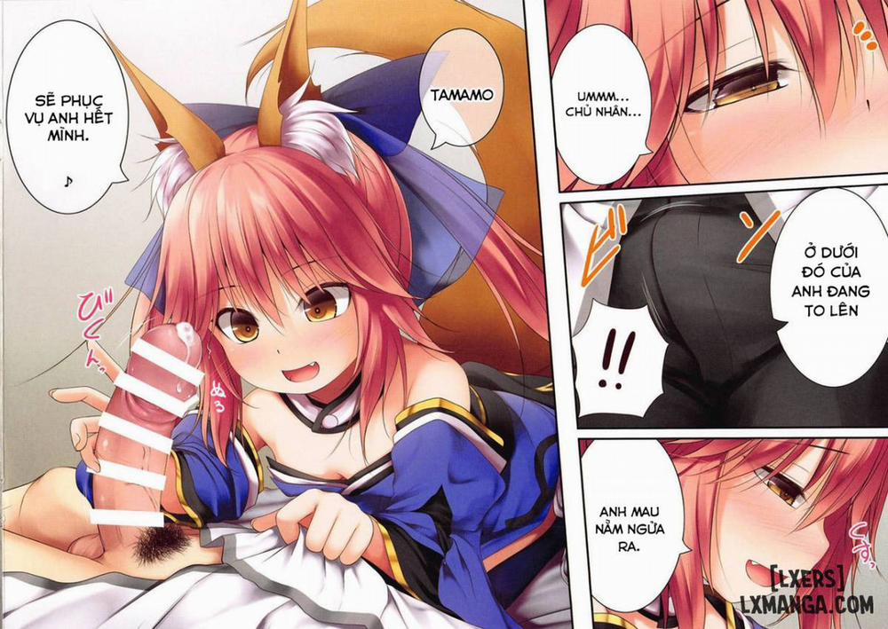 Lolikkitsune Tamamo-chan Chương Oneshot Trang 18