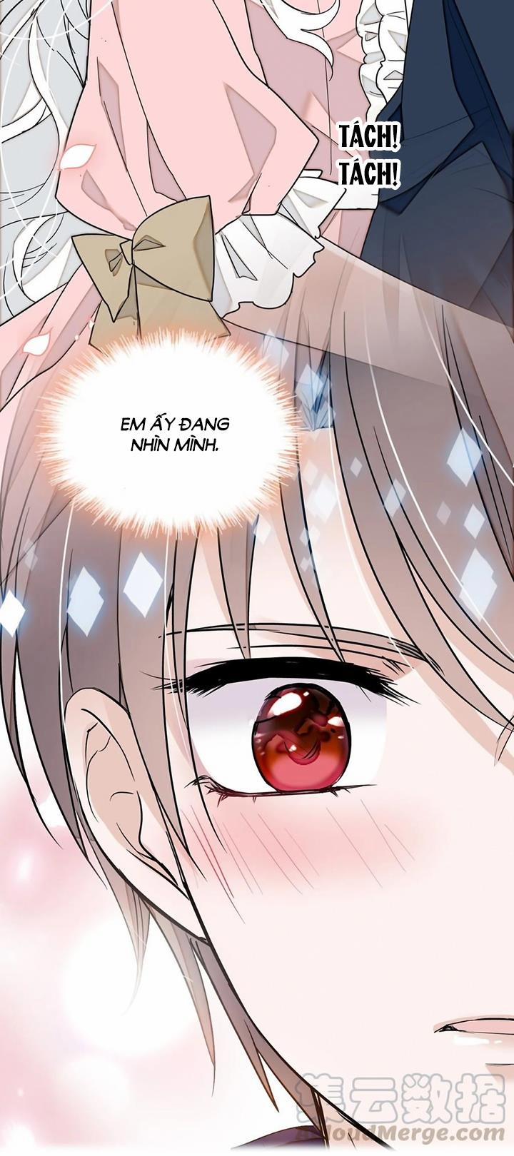 Long Phụng Đảo Lộn 52 trang 49