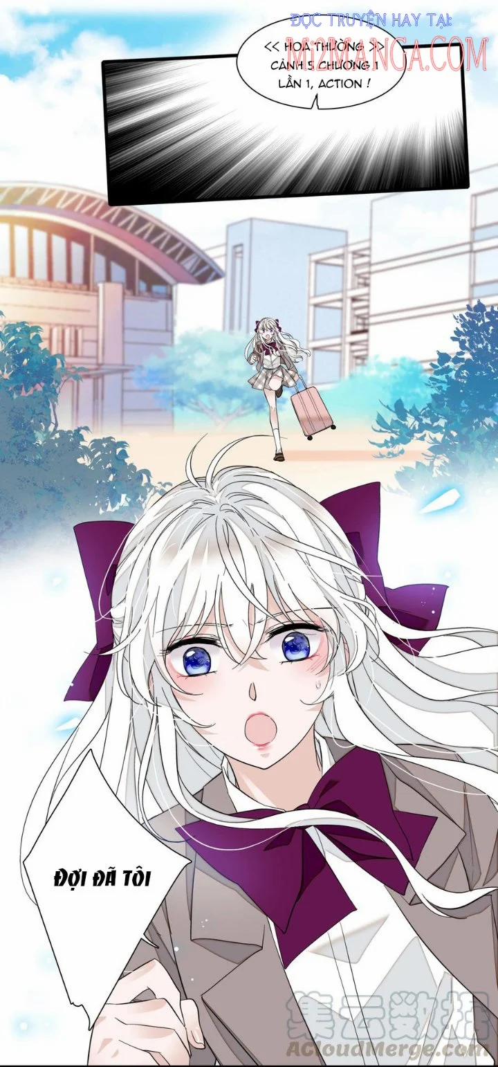 Long Phụng Đảo Lộn 54.5 trang 12