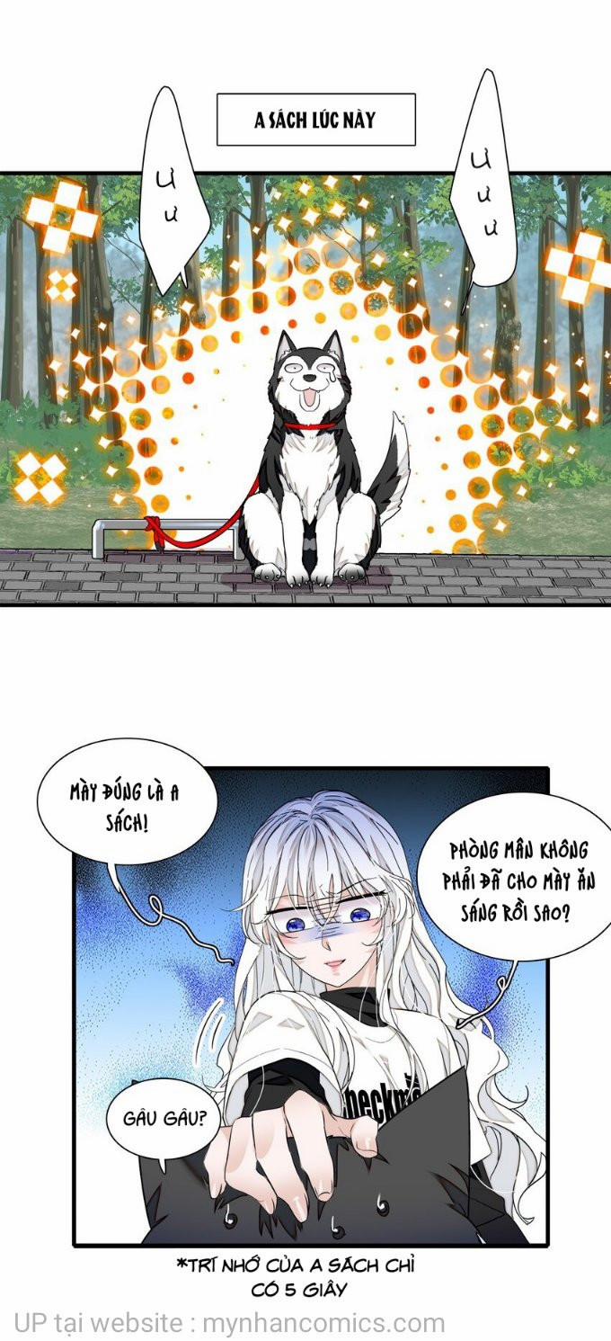 Long Phụng Đảo Lộn 66 trang 4