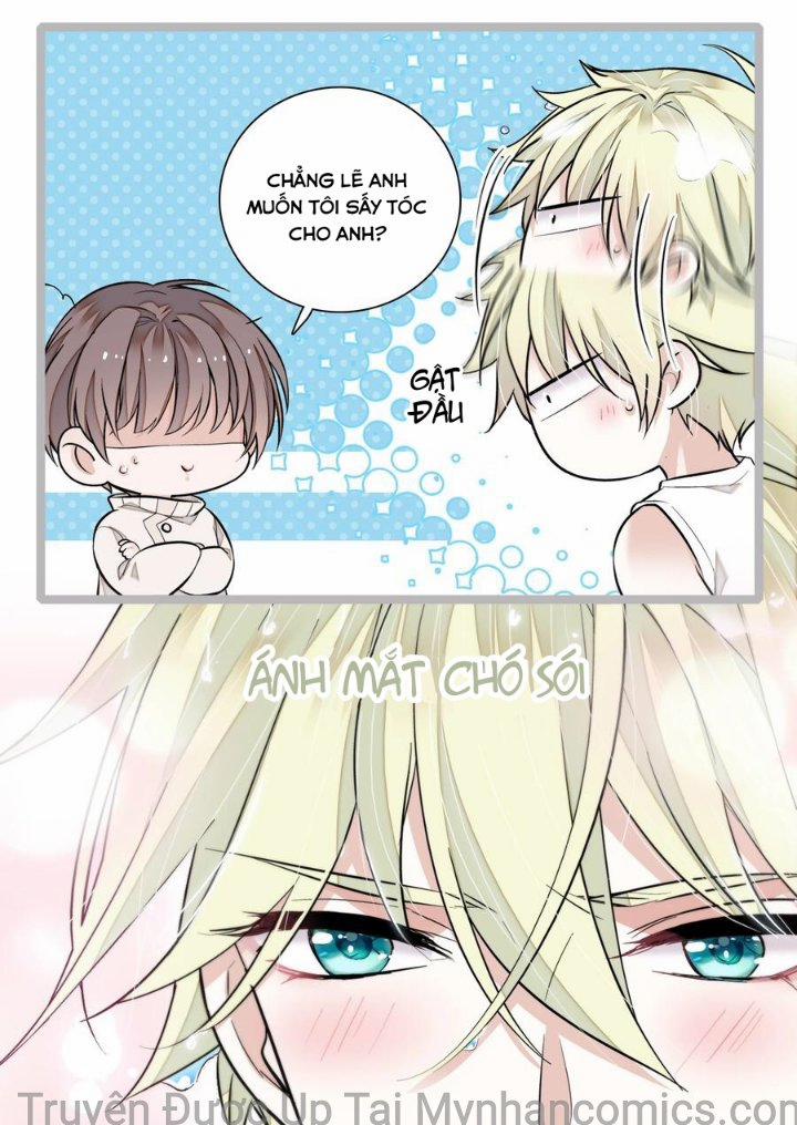 Long Phụng Đảo Lộn 86 trang 13