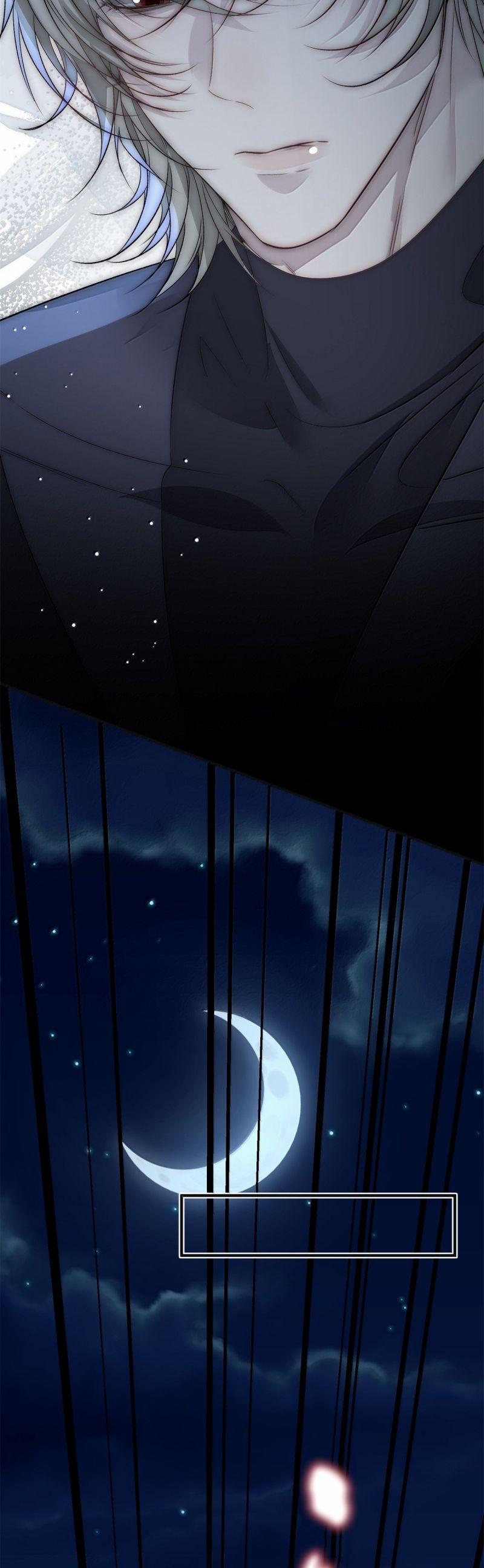 Lồng Tuyết 40 trang 12